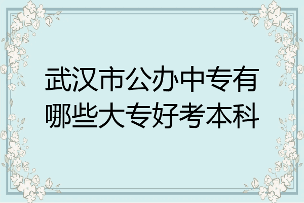 武汉市公办中专有哪些大专好考本科