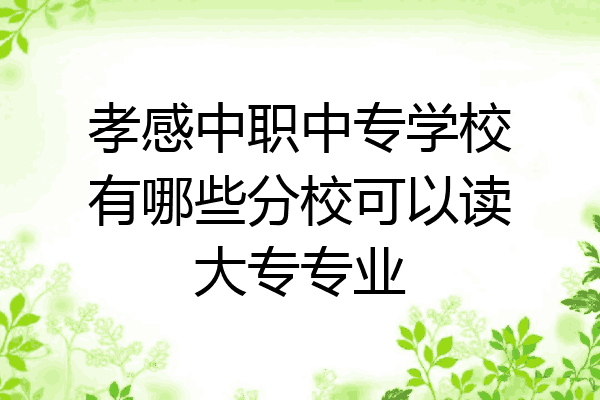 孝感中职中专学校有哪些分校可以读大专专业
