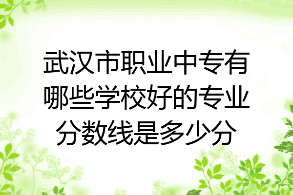 武汉市职业中专有哪些学校好的专业分数线是多少分