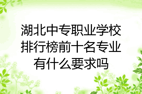 湖北中专职业学校排行榜前十名专业有什么要求吗