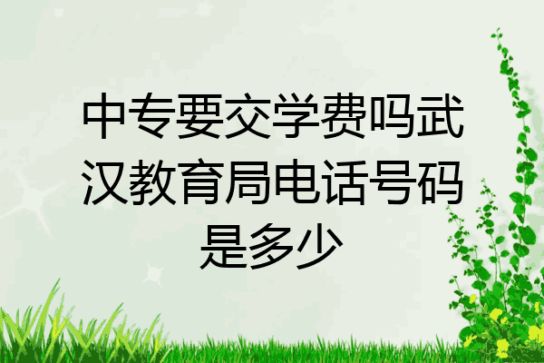 中专要交学费吗武汉教育局电话号码是多少