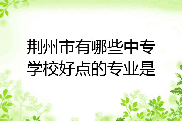荆州市有哪些中专学校好点的专业是
