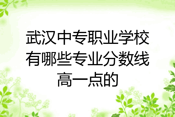 武汉中专职业学校有哪些专业分数线高一点的
