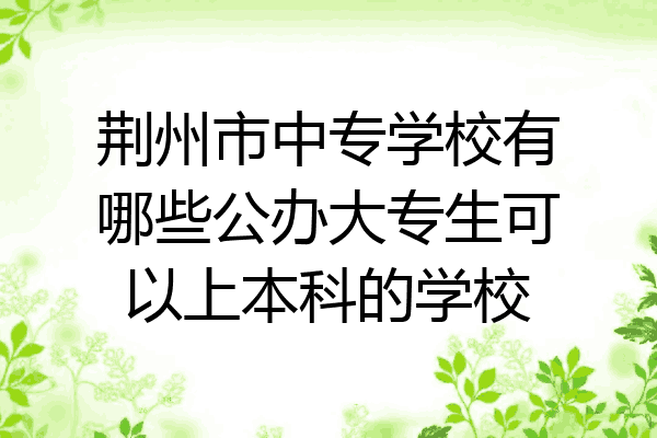 荆州市中专学校有哪些公办大专生可以上本科的学校