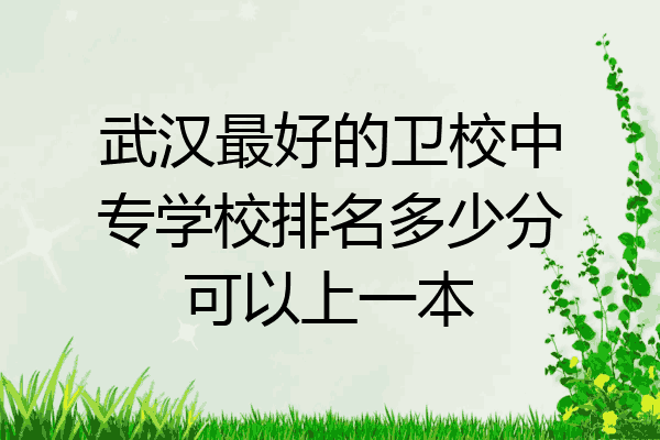 武汉最好的卫校中专学校排名多少分可以上一本