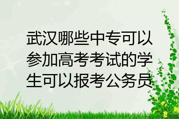 武汉哪些中专可以参加高考考试的学生可以报考公务员