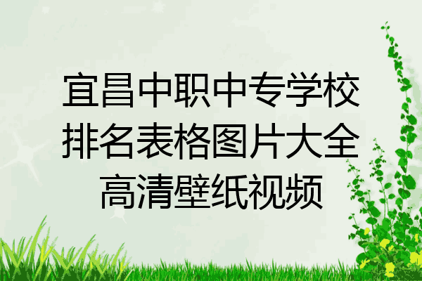 宜昌中职中专学校排名表格图片大全高清壁纸视频