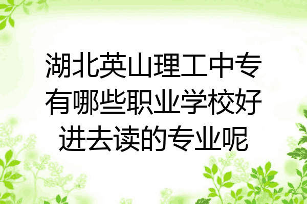湖北英山理工中专有哪些职业学校好进去读的专业呢