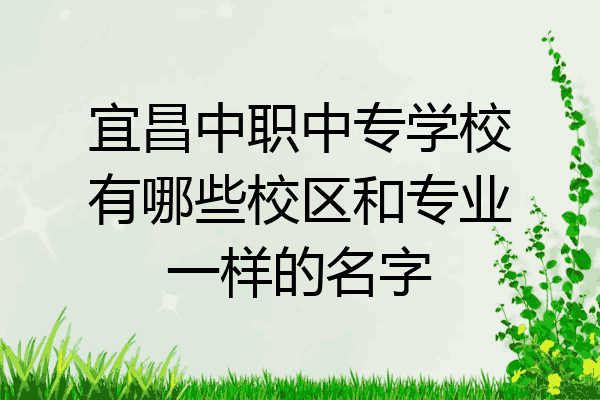 宜昌中职中专学校有哪些校区和专业一样的名字