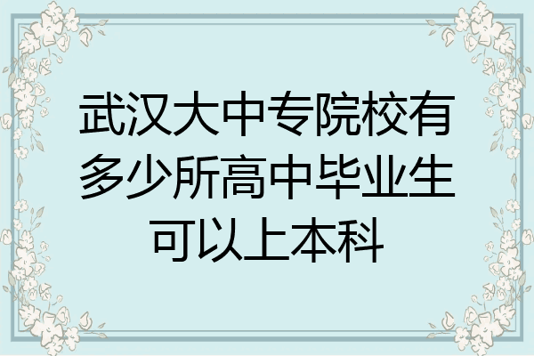 武汉大中专院校有多少所高中毕业生可以上本科