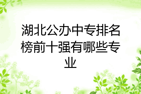 湖北公办中专排名榜前十强有哪些专业