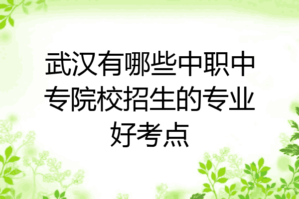 武汉有哪些中职中专院校招生的专业好考点