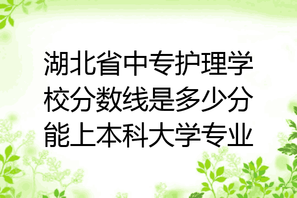 湖北省中专护理学校分数线是多少分能上本科大学专业