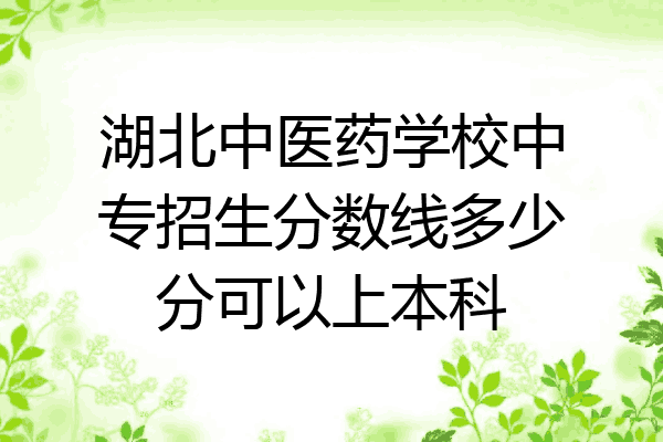 湖北中医药学校中专招生分数线多少分可以上本科