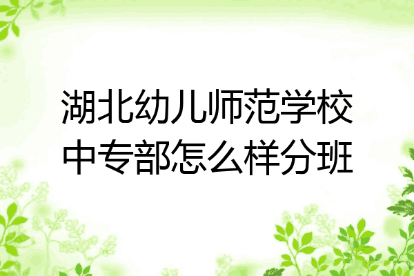 湖北幼儿师范学校中专部怎么样分班