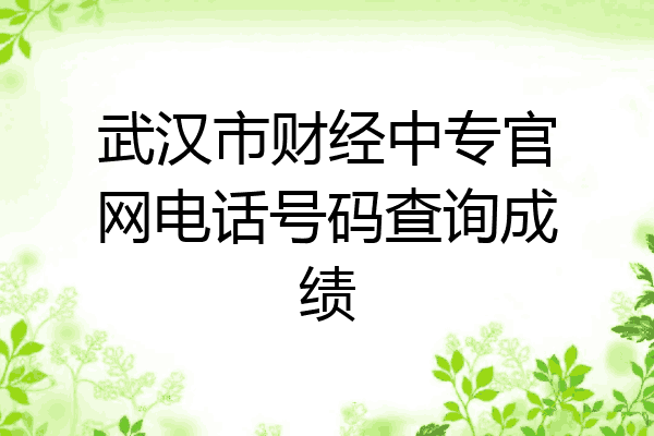 武汉市财经中专官网电话号码查询成绩