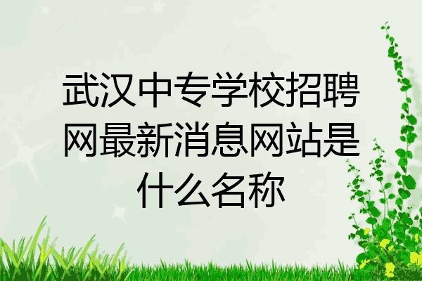 武汉中专学校招聘网最新消息网站是什么名称