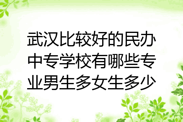 武汉比较好的民办中专学校有哪些专业男生多女生多少
