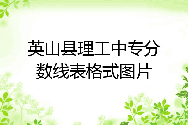英山县理工中专分数线表格式图片