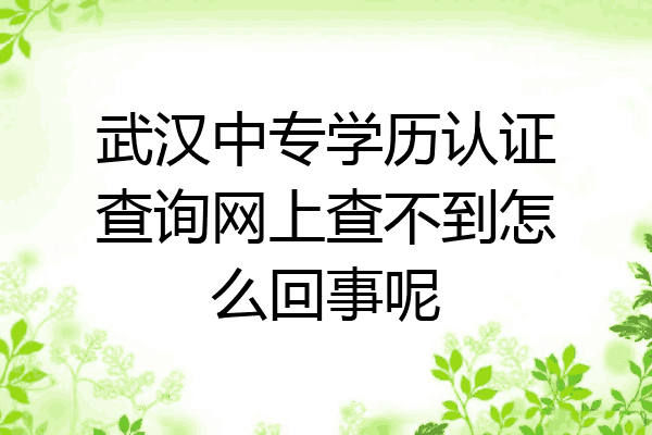 武汉中专学历认证查询网上查不到怎么回事呢