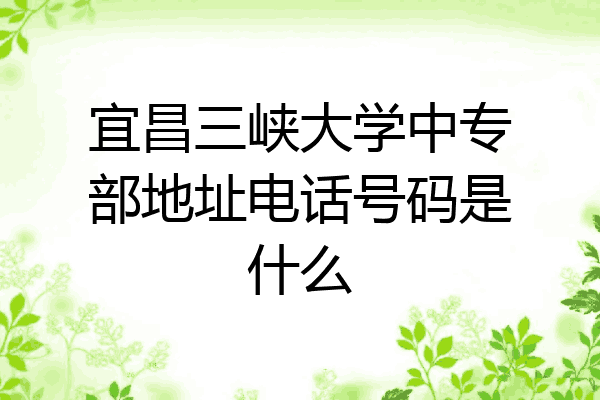 宜昌三峡大学中专部地址电话号码是什么