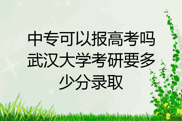 中专可以报高考吗武汉大学考研要多少分录取