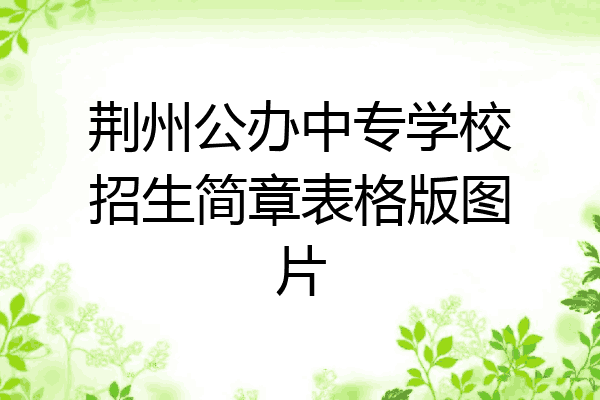 荆州公办中专学校招生简章表格版图片