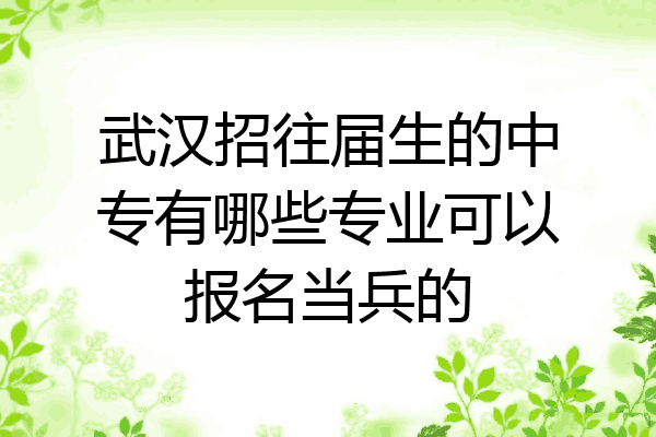 武汉招往届生的中专有哪些专业可以报名当兵的