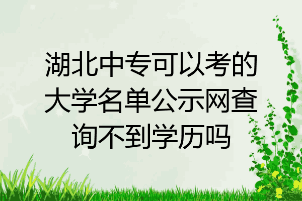 湖北中专可以考的大学名单公示网查询不到学历吗