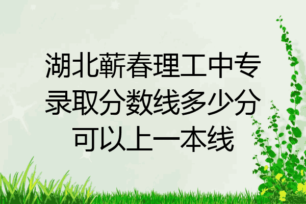 湖北蕲春理工中专录取分数线多少分可以上一本线