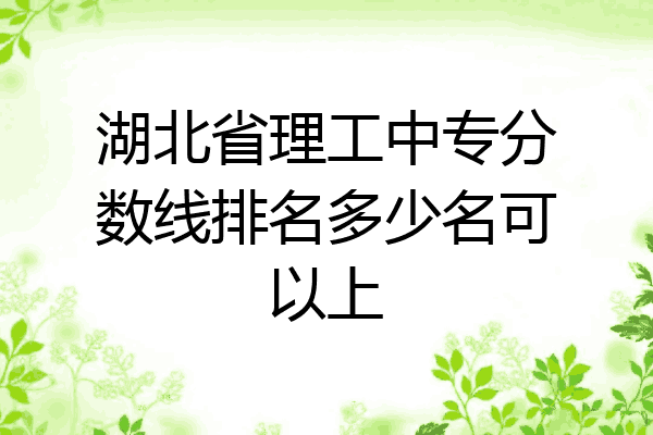 湖北省理工中专分数线排名多少名可以上