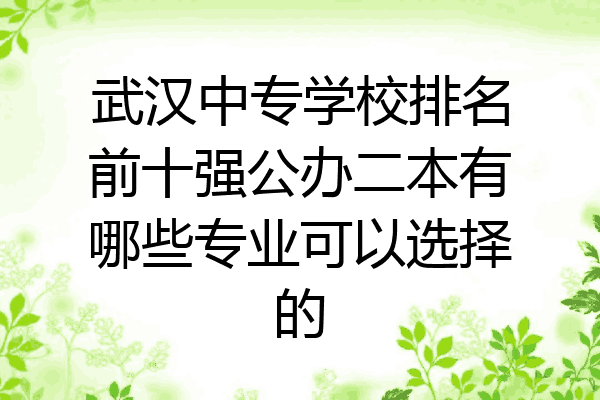 武汉中专学校排名前十强公办二本有哪些专业可以选择的