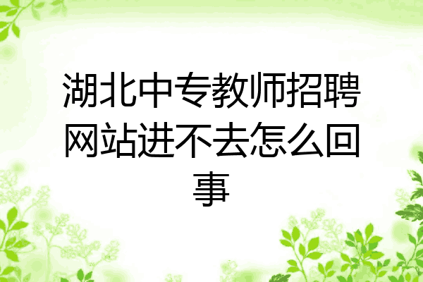 湖北中专教师招聘网站进不去怎么回事