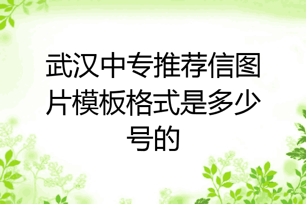 武汉中专推荐信图片模板格式是多少号的