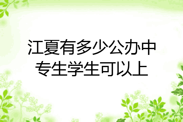 江夏有多少公办中专生学生可以上