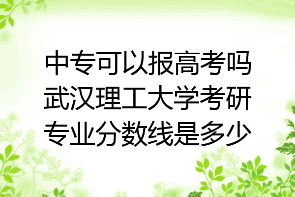 中专可以报高考吗武汉理工大学考研专业分数线是多少