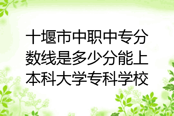 十堰市中职中专分数线是多少分能上本科大学专科学校