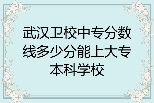 武汉卫校中专分数线多少分能上大专本科学校