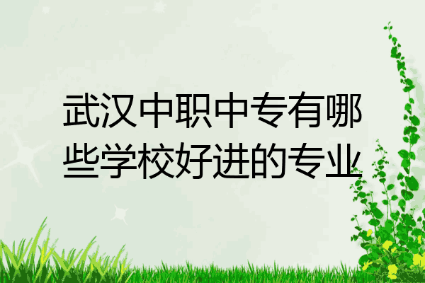 武汉中职中专有哪些学校好进的专业