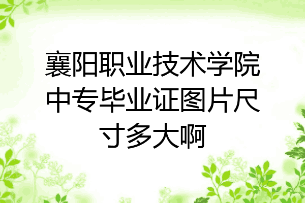 襄阳职业技术学院中专毕业证图片尺寸多大啊