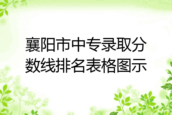 襄阳市中专录取分数线排名表格图示