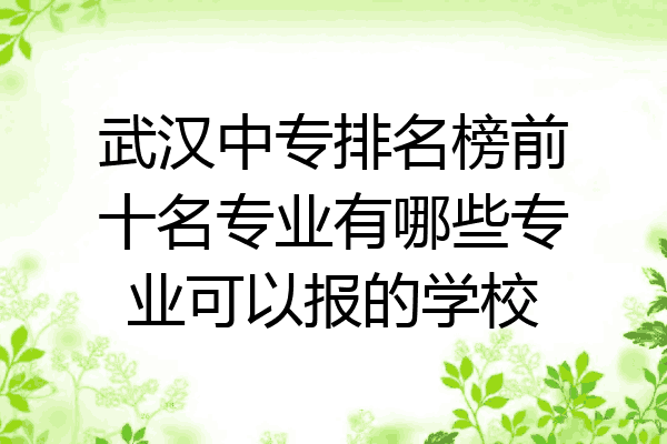武汉中专排名榜前十名专业有哪些专业可以报的学校
