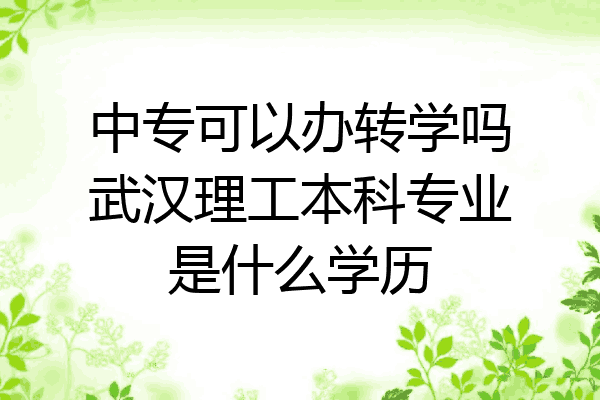 中专可以办转学吗武汉理工本科专业是什么学历