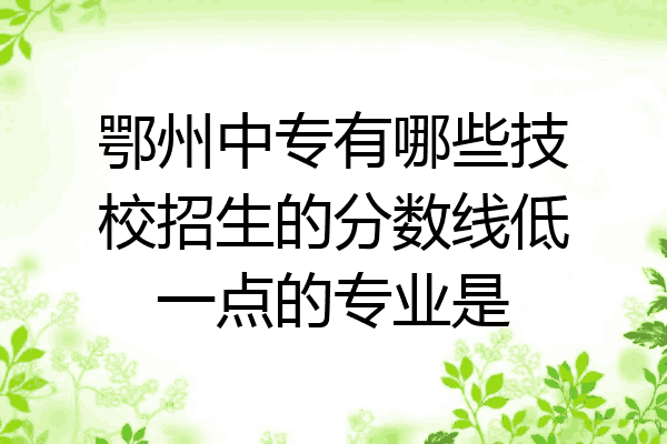 鄂州中专有哪些技校招生的分数线低一点的专业是