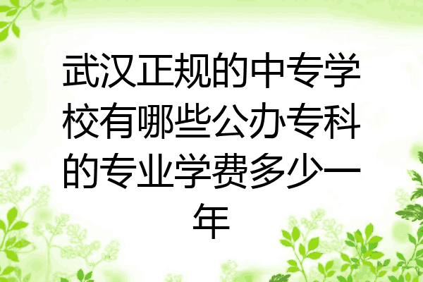 武汉正规的中专学校有哪些公办专科的专业学费多少一年
