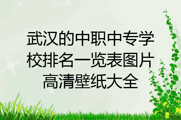武汉的中职中专学校排名一览表图片高清壁纸大全