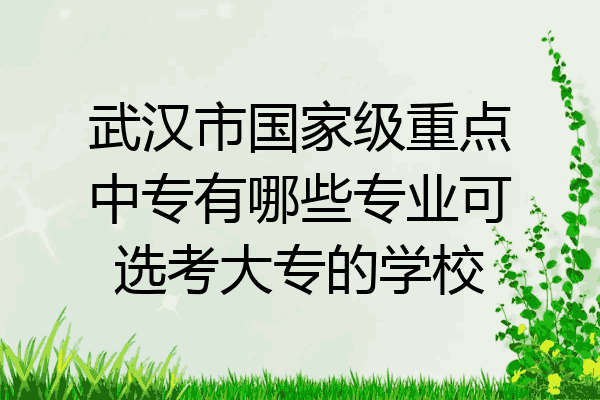 武汉市国家级重点中专有哪些专业可选考大专的学校