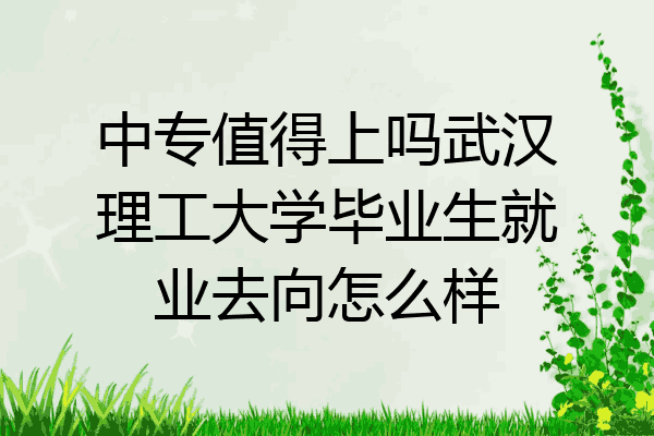 中专值得上吗武汉理工大学毕业生就业去向怎么样