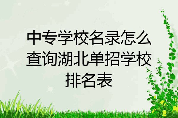 中专学校名录怎么查询湖北单招学校排名表