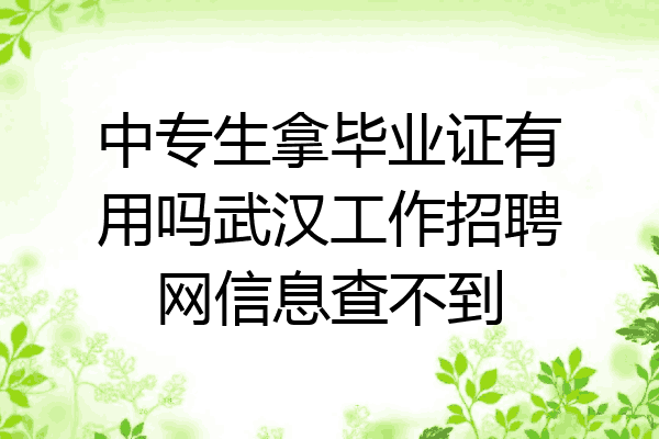 中专生拿毕业证有用吗武汉工作招聘网信息查不到